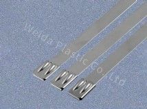 雙頭不銹鋼扎帶